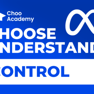 Choose, Understand, Control: Meta Ads